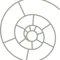 Logo | Ammoniet | Yoga on Spot